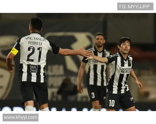 尼斯与维迪斯对决分析及双方近期状态评估 尼斯与维迪斯对决分析及双方近期状态评估